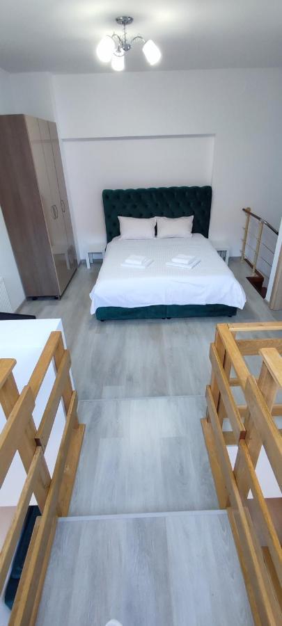 Апартаменты Duplex Belle View Sinaia-Free Parking Экстерьер фото
