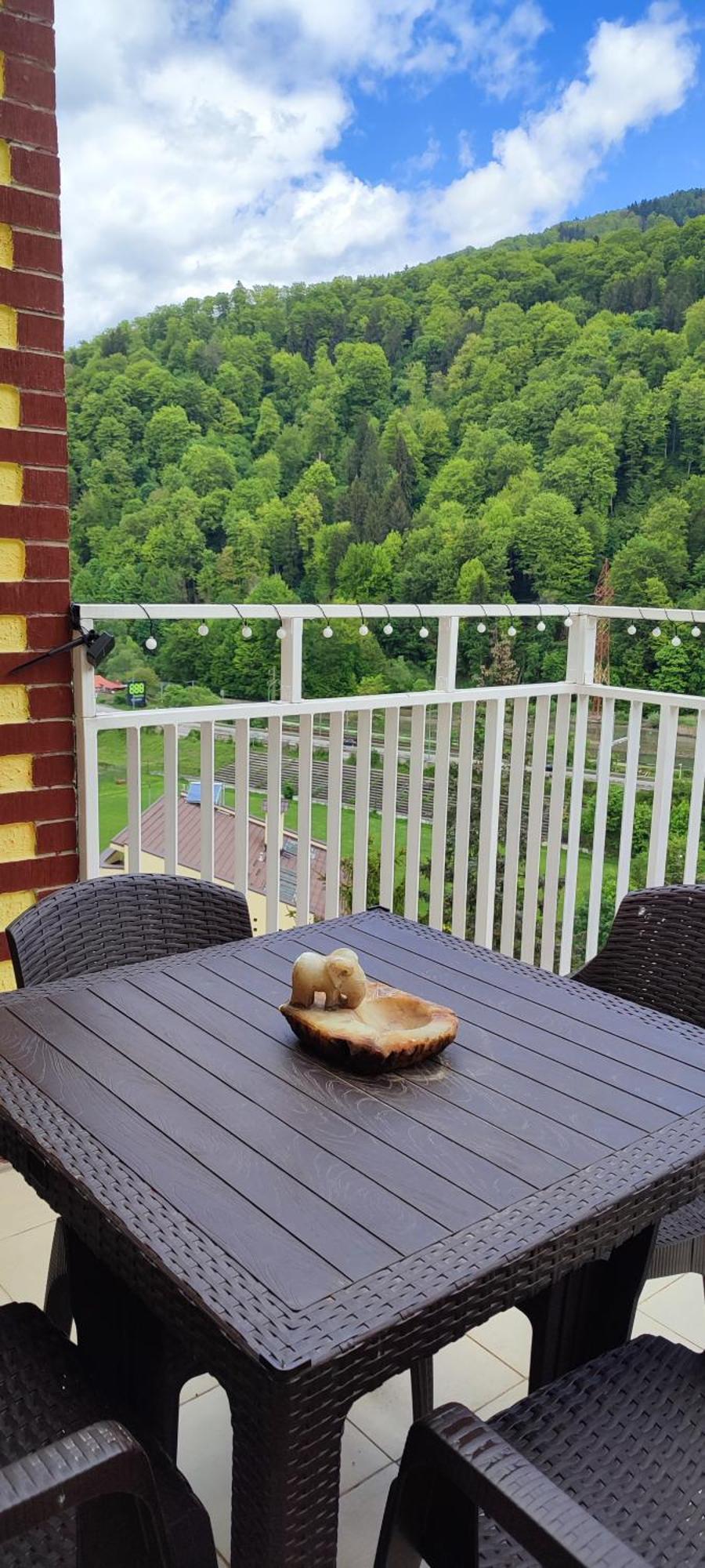 Апартаменты Duplex Belle View Sinaia-Free Parking Экстерьер фото